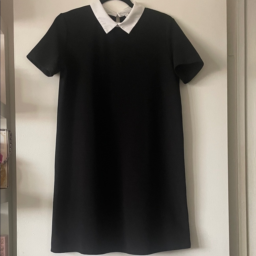 ZARA|City Chic Mini shirt Dress with White Collar|Black| Medium|EUC